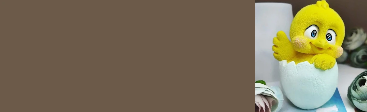 Постер Солнечный цыплёнок. Мастер-класс в Хабаровске