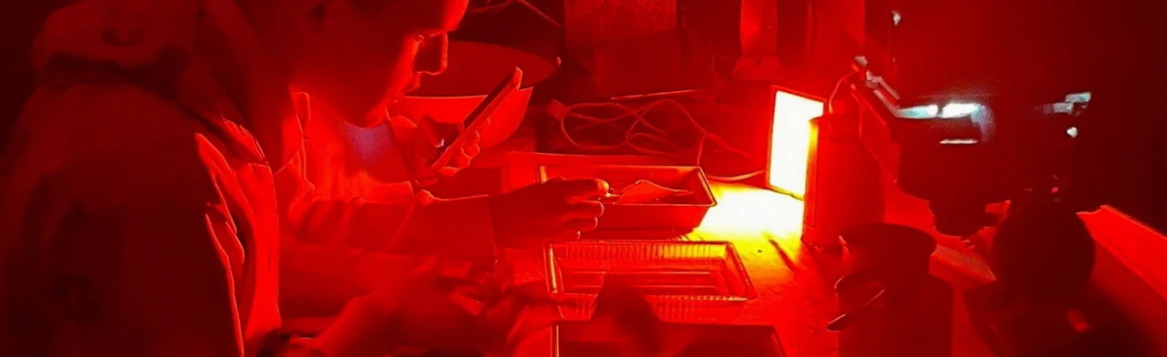 Постер Черно-белые секреты. Мастер-класс