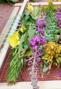 Постер Культурные вечорки в Хабаровске