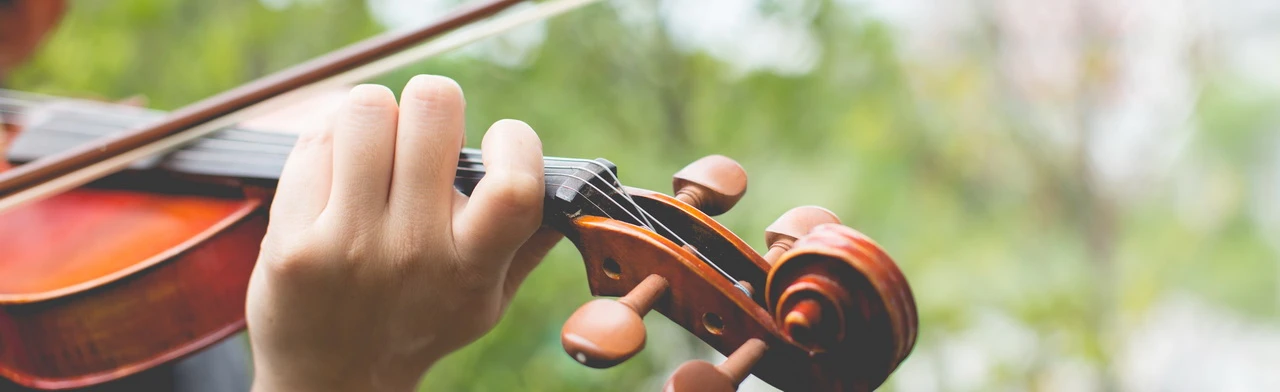 Постер О чем поют деревья. Интеллектуальная игра