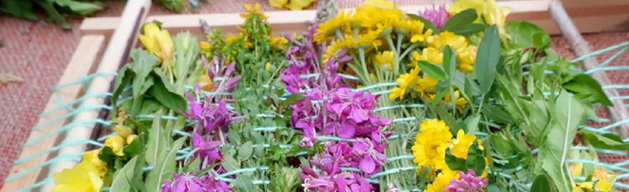 Постер Культурные вечорки