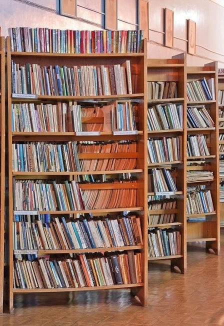 Постер Книжные горизонты. Библиоквест в Хабаровске