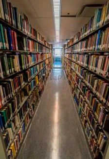 Постер Книжный навигатор. Экскурсия в Хабаровске