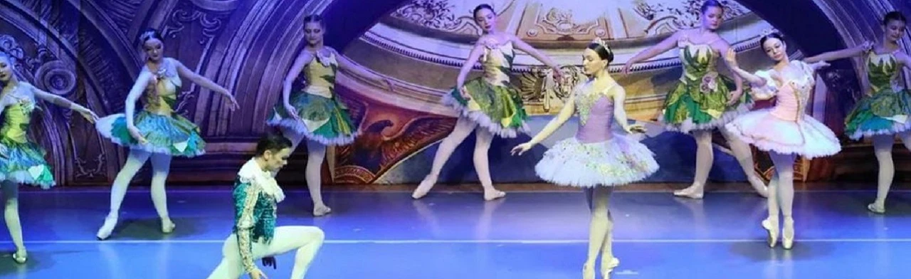 Постер Балет Спящая красавица. в Чебоксарах