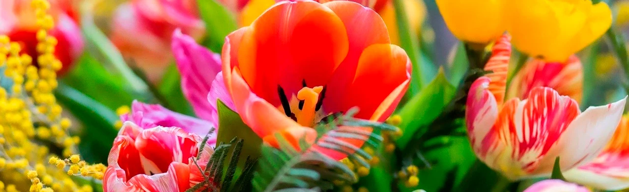 Постер Праздничный концерт звезд чувашской эстрады