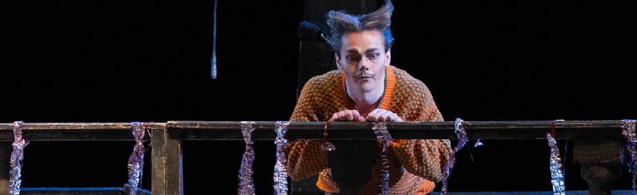 Постер Дорогая Памела, или Как пришить старушку