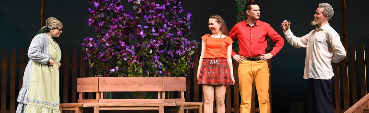 Постер Не сыграть ли свадьбу? / Туя туй пек тăвар-и? в Чебоксарах