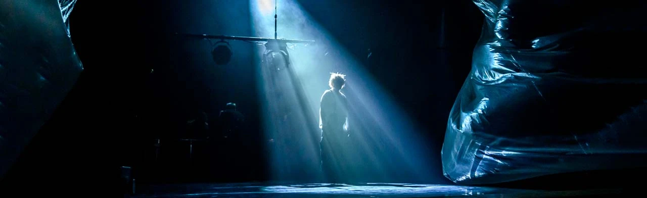 Постер Петербургские повести в Челябинске