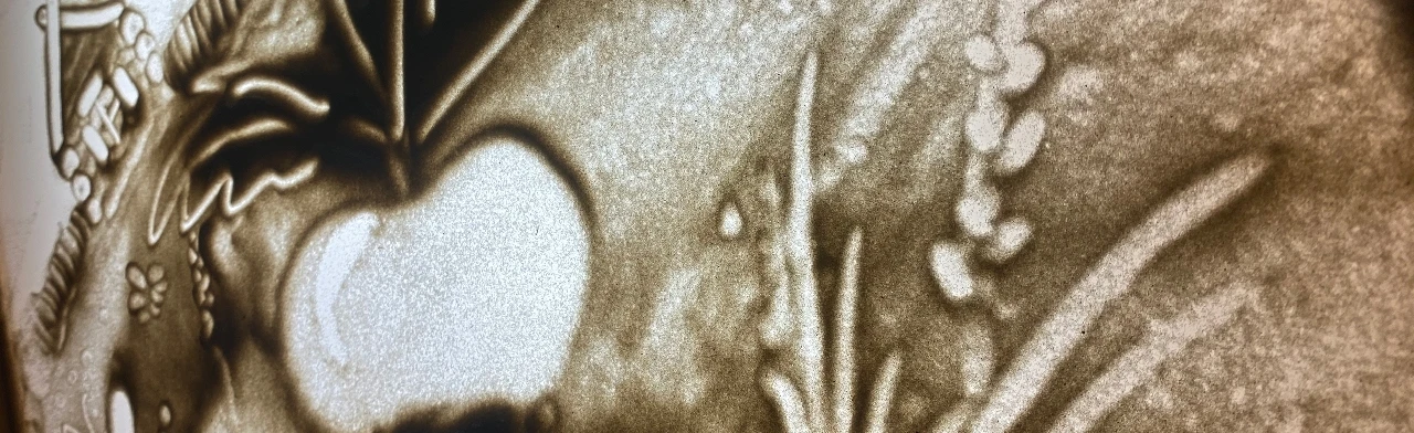 Постер РЕПКА в Челябинске