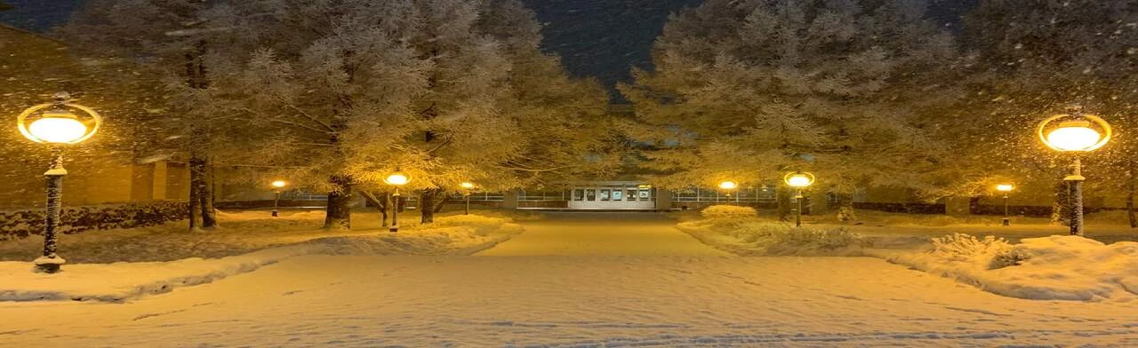 Постер За кулисами Дворца