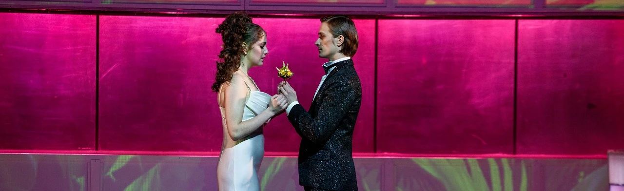 Постер Идеальный муж