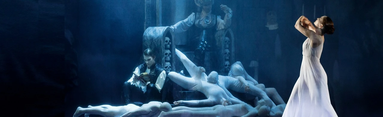 Постер Дама Пик