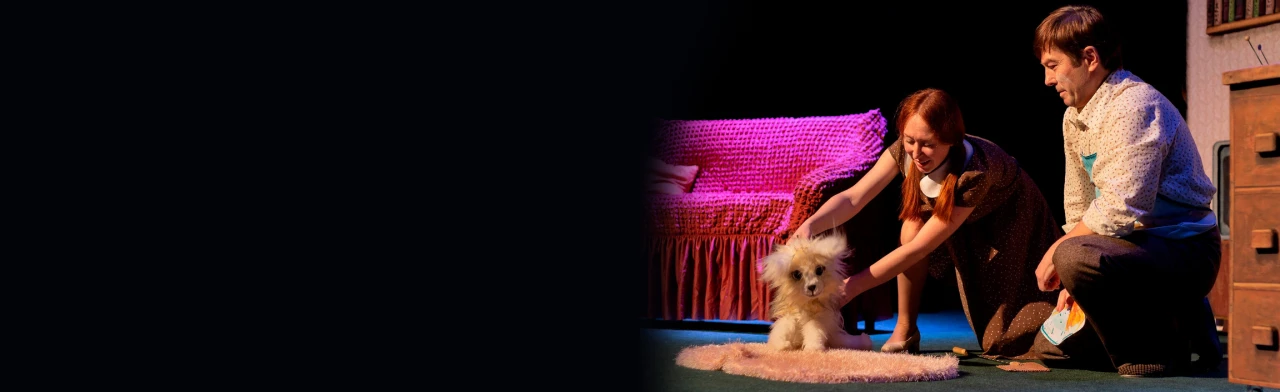 Постер Умная собачка Соня