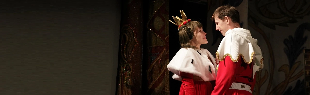 Постер Бременские музыканты