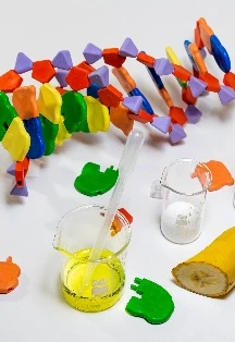 Постер Что такое ДНК? в Москве