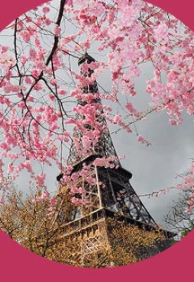 Постер Романтический вечер в Париже в Москве