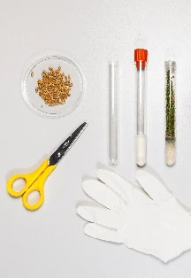 Постер Космический сад в Москве