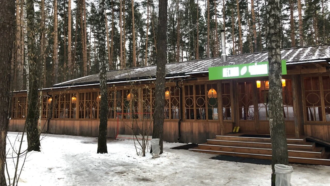 Постер Мещерский лес