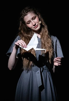 Постер Летят журавли в Кемерове