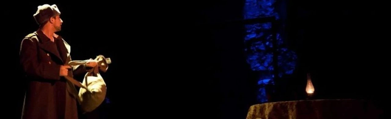 Постер Отпуск по ранению