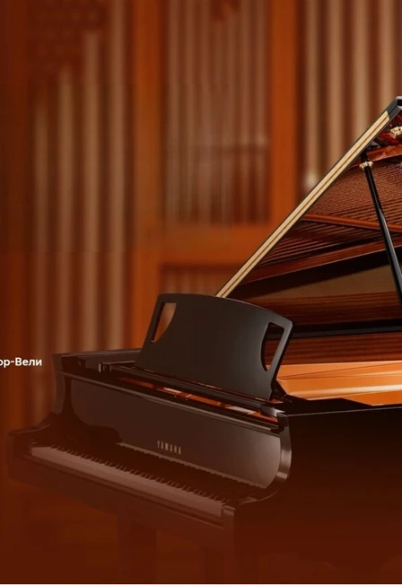 Постер Два короля: орган и рояль в Кирове