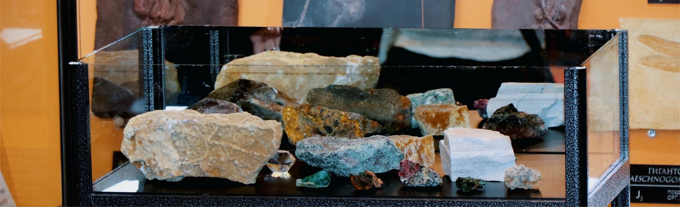 Постер День геолога в Вятском палеонтологическом музее в Кирове