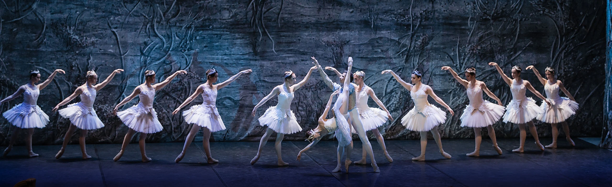 Постер Лебединое озеро в Кирове