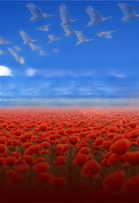 Постер Память сердца: музыка, которая объединяет в Кирове