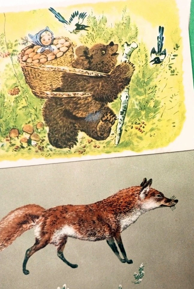 Постер Очарование Чарушиных. Выставка в Кирове