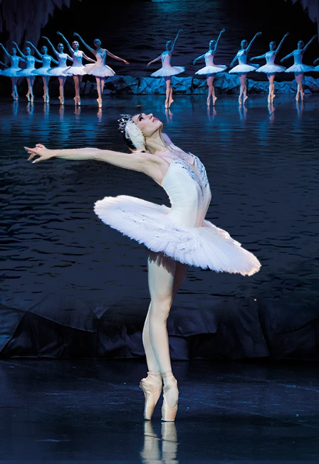 Постер Лебединое озеро в Лазаревском