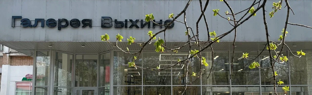 Постер Галерея Выхино