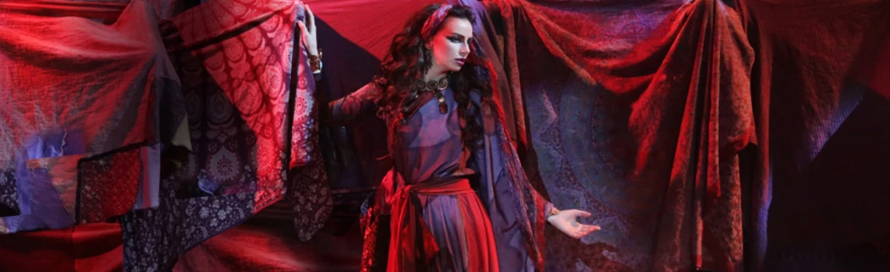 Постер Алеко в Москве