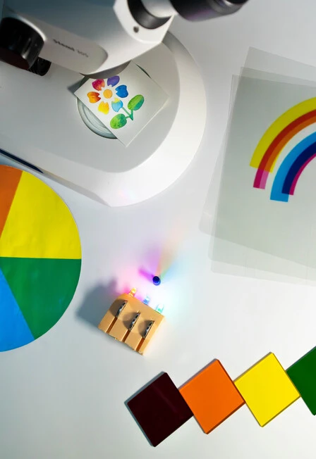 Постер Природа цвета в Москве