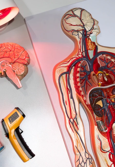 Постер Секреты теплокровных в Москве