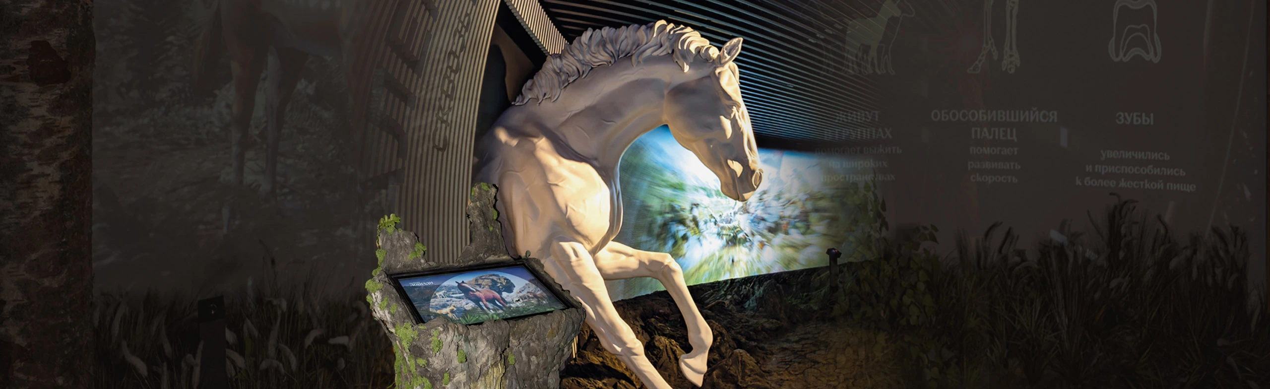 Постер Обзорная экскурсия по Интерактивной экспозиции «Музей Лошади»