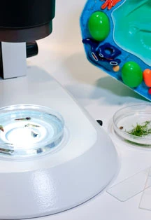 Постер Кто в пруду? в Москве