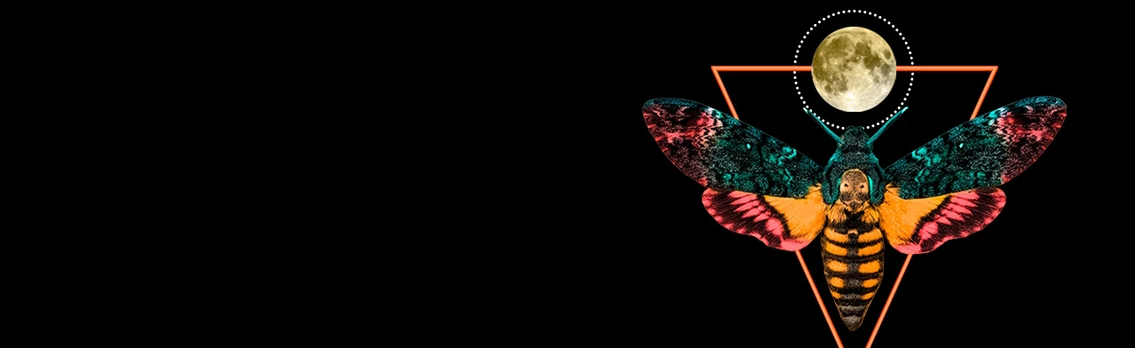 Постер Вероника решает...