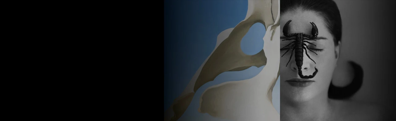 Постер Лекция «Женщины-художницы в искусстве 20 века»