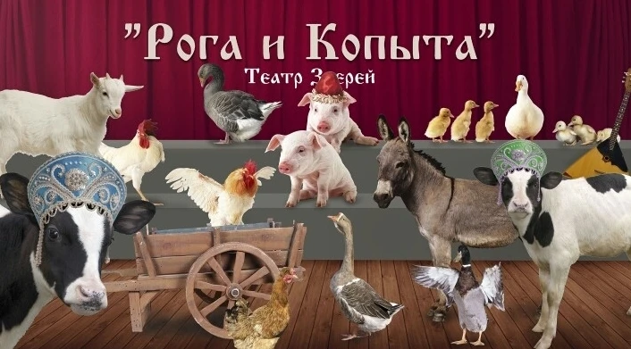 Постер Театр зверей "Рога и Копыта"