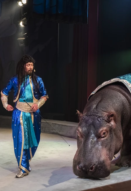 Постер Каникулы Джинна в Москве