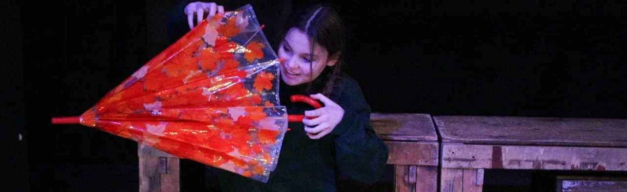 Постер Вой, ветер! в Москве