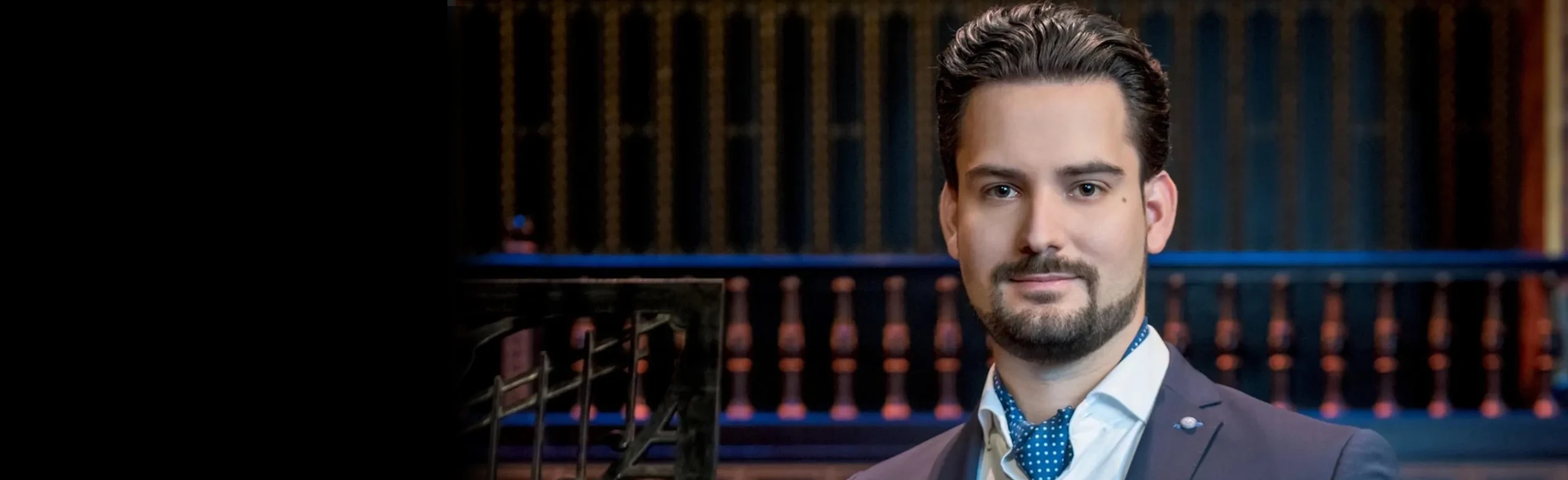 Постер Жолт Месарош в Москве