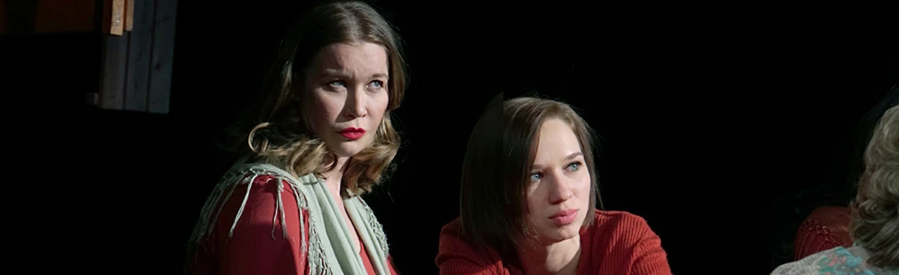 Постер Пролётный гусь в Москве