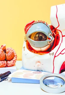 Постер В поле зрения в Москве