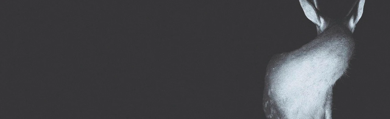 Постер Кукушка. Сон 19 в Москве