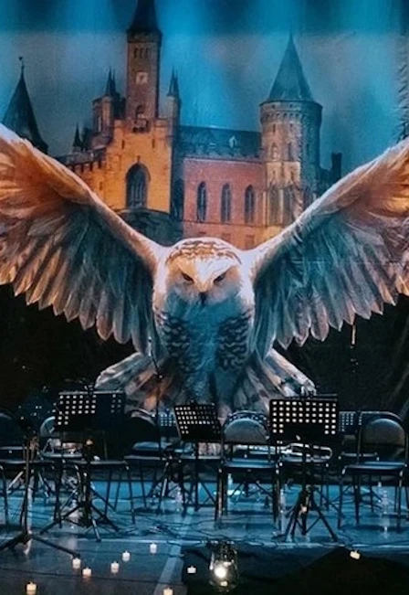 Постер Hogwarts music team в Москве