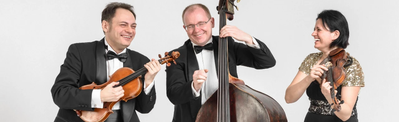 Постер Контрабас-квартет