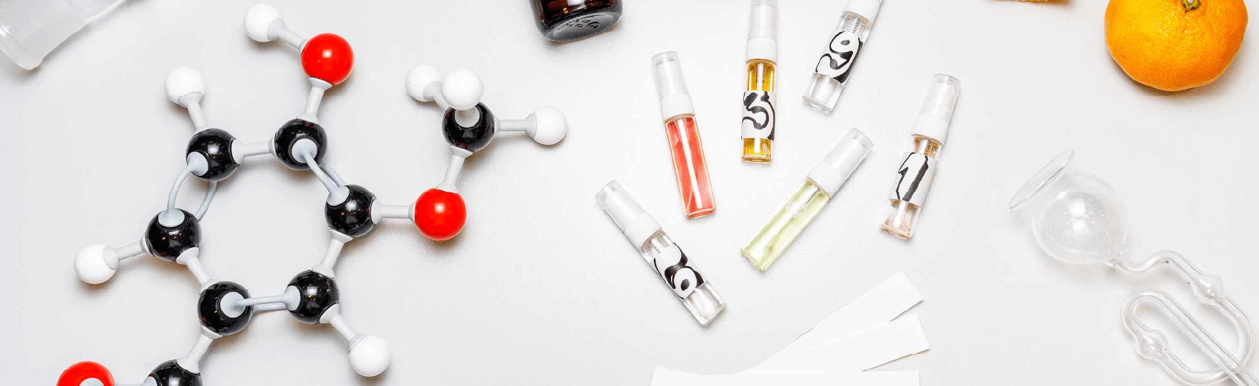 Постер Планета вкусов