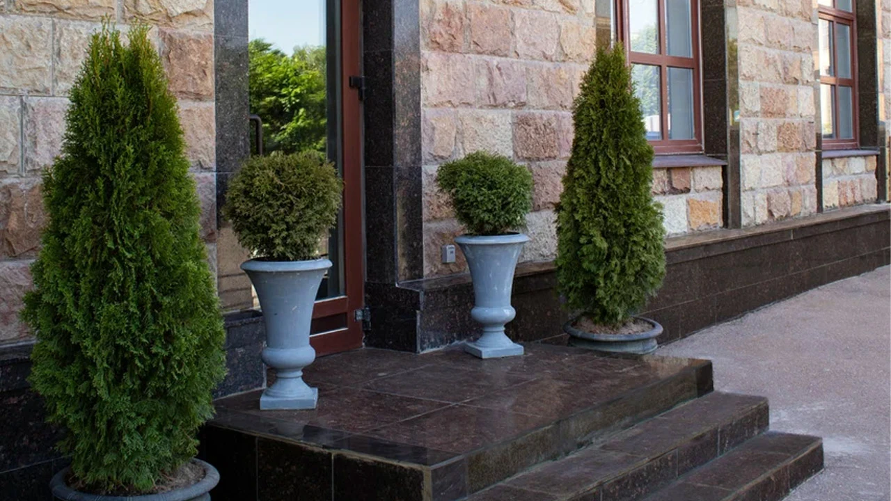 Постер Тайная: Пространство-Променад