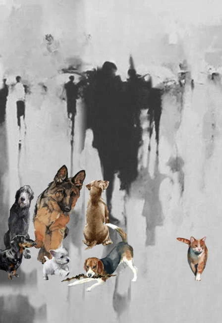 Постер Вой, ветер! в Москве